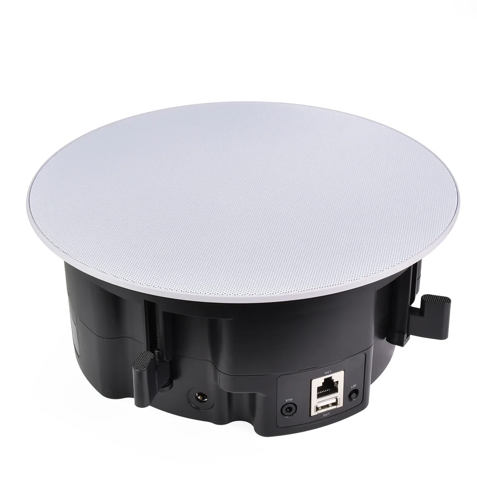 Smart ceiling speaker with Wi-Fi and Bluetooth connectivity